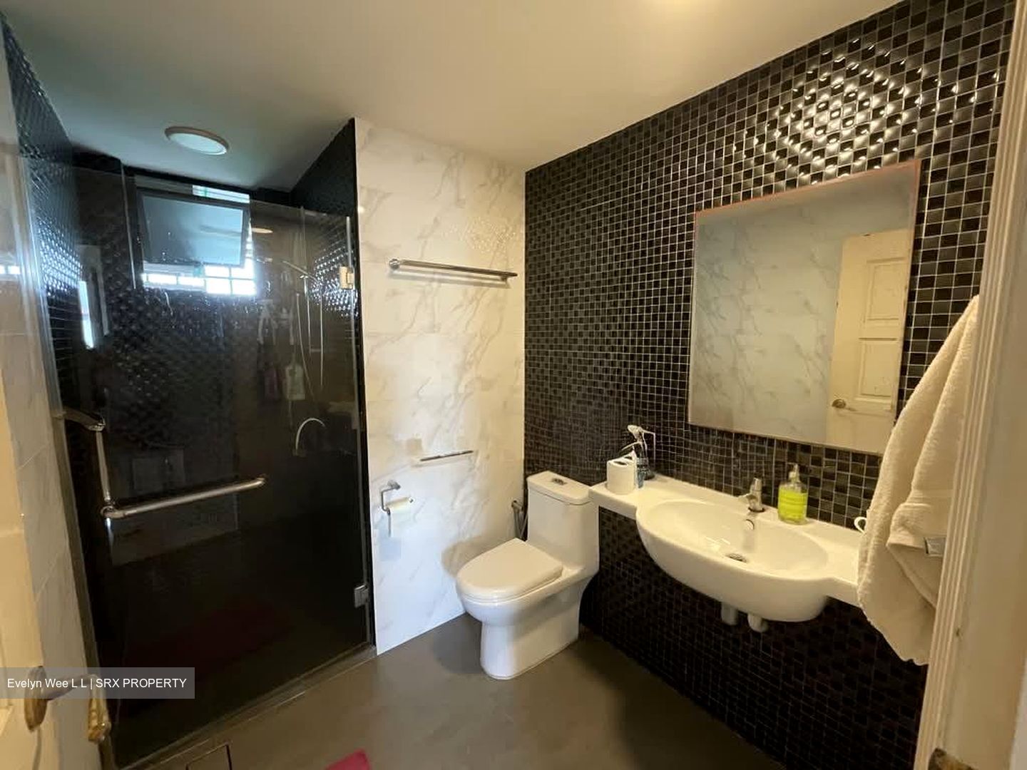 Balmoral Gate (D10), Condominium #560709511